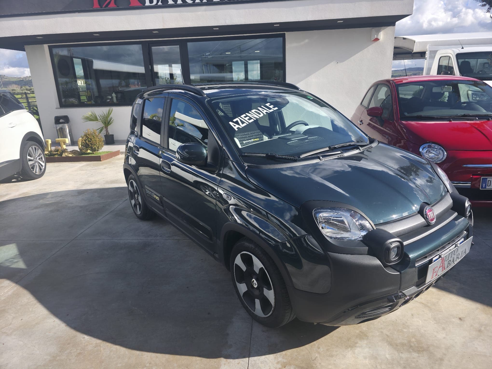 FIAT PANDINA CROSS